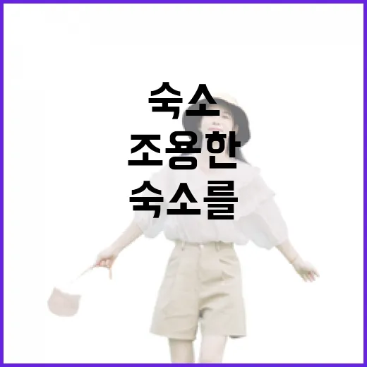 야놀자로 일부러 조용한 동네 숙소를 골라봤더니 보인 것들 - 요약