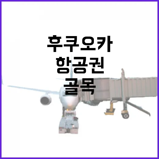 후쿠오카항공권 끊고 골목만 걸어봤더니 보인 조용한 얼굴 - 요약