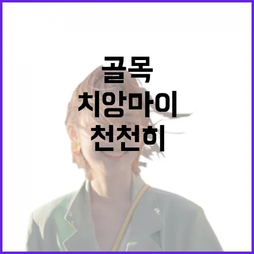 치앙마이 골목을 천천히 걸어봤더니 보인 조용한 여행의 얼굴 - 요약
