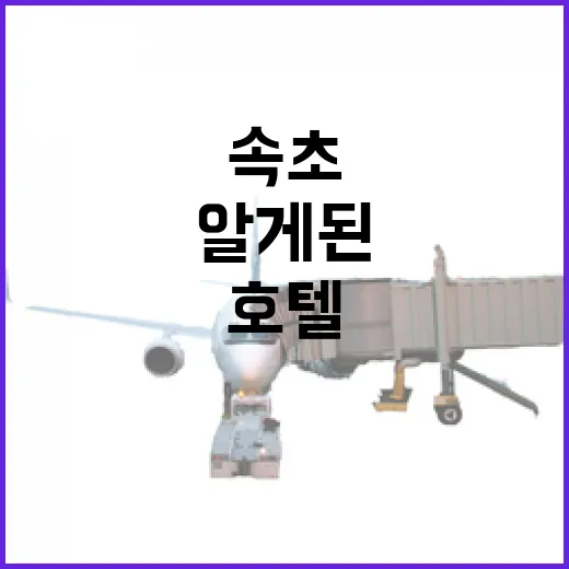 속초호텔 대신 동네의 밤을 따라 걸어봤더니 알게 된 것들 - 요약