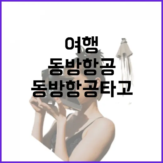 동방항공 타고 골목 여행을 이어가봤더니 남은 진짜 이야기 - 요약