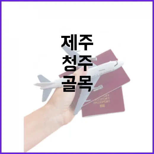 청주제주항공권 끊고 조용한 제주 골목으로 내려가봤더니 - 요약