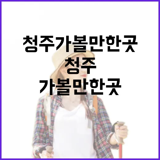 청주가볼만한곳을 골목 기준으로 직접 걸어봤더니 보인 조용한 장면들 - 요약