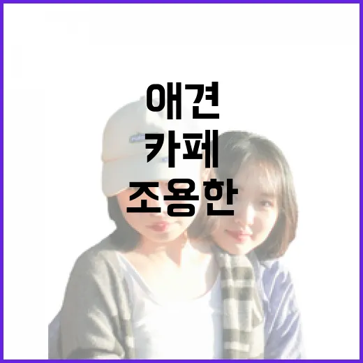 동네 애견카페를 몇 군데 다녀봤더니, 조용한 곳은 따로 있었다 - 요약