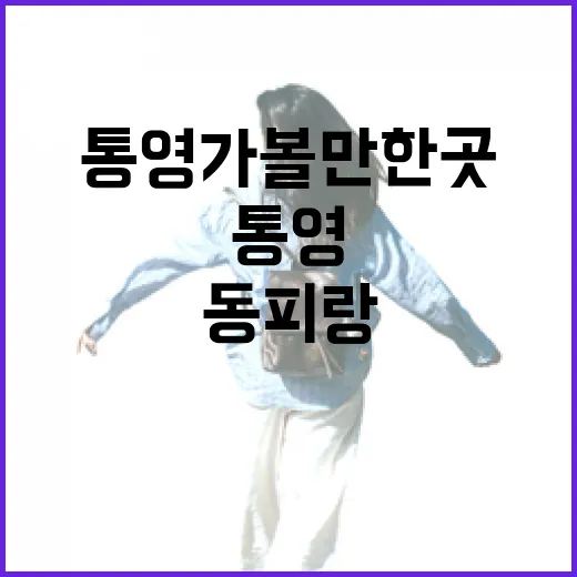 통영 가볼만한곳, 동피랑 말고 조용한 골목만 걸어봤더니 - 요약