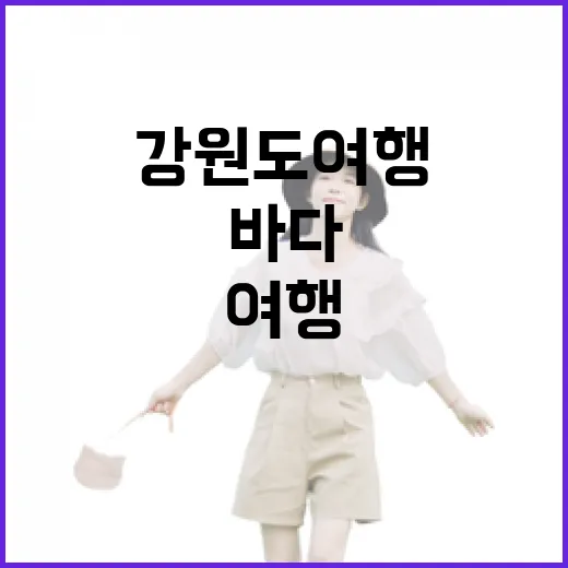 강원도여행, 유명한 바다 대신 작은 동네를 걸어봤더니 - 요약