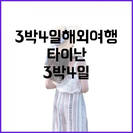 3박4일해외여행으로 타이난 골목을 걸어봤더니, 관광지보다 오래 남은 순간들 - 요약