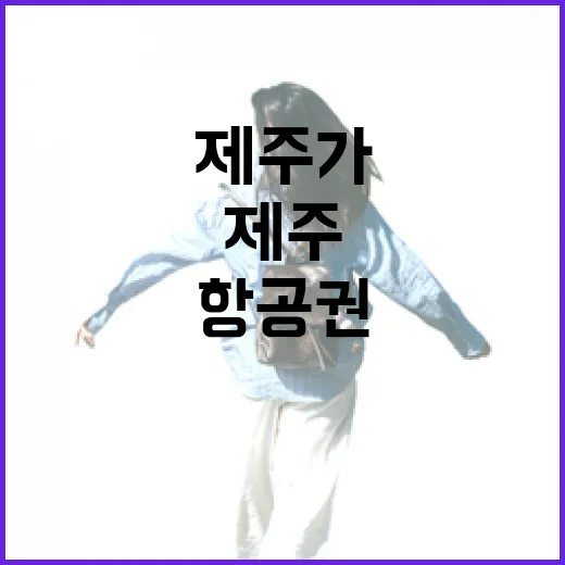 부산제주항공권 끊고 골목만 걸어봤더니, 제주가 조금 다르게 보였다 - 요약