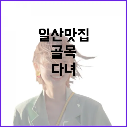 일산맛집을 일부러 골목으로만 걸어 다녀봤더니 남은 것들 - 요약