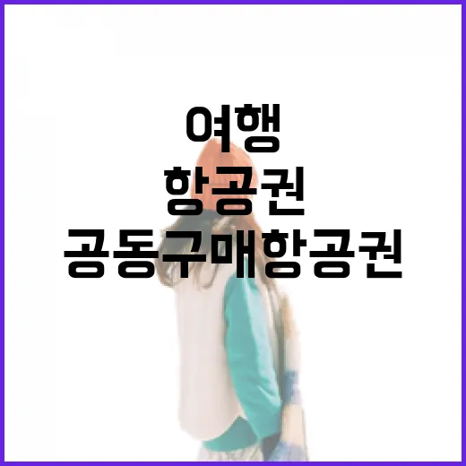 공동구매항공권으로 조용한 동네 여행을 직접 잡아봤더니 - 요약