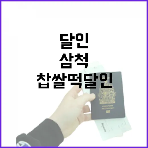 삼척 골목에서 찹쌀떡 달인 찾아가봤더니, 바다보다 먼저 생각난 맛 - 요약