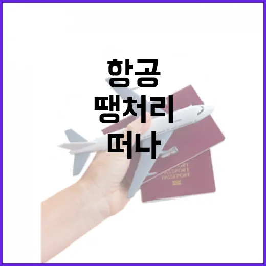 땡처리항공으로 떠나봤더니, 여행은 조금 더 동네 같아졌다 - 요약
