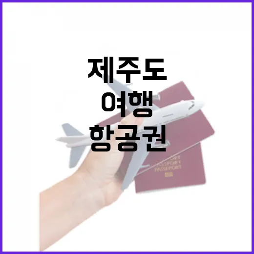 제주도항공권특가 잡고 골목 여행으로 걸어봤더니 보인 것들 - 요약