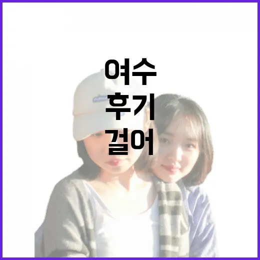 아시아나 타고 여수에 내려, 사람 적은 항구 골목을 걸어본 후기 - 요약