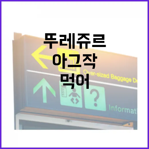 동네 뚜레쥬르에서 아그작을 사 먹어봤더니, 산책길 간식으로 딱 남은 이야기 - 요약
