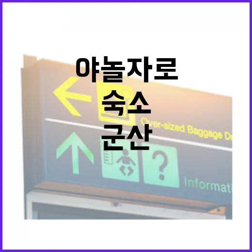 야놀자로 군산 골목 숙소를 골라봤더니, 관광지보다 조용한 하루가 남았다 - 요약