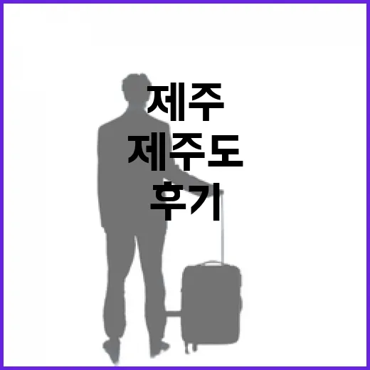 제주도비행기 시간을 바꿔 탔더니 보인 조용한 제주 골목 후기 - 요약