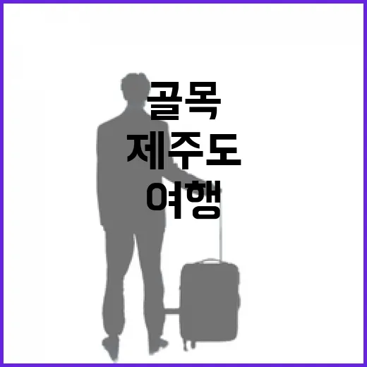 제주도비행기 타고 골목 여행만 해봤더니 남은 장면들 - 요약