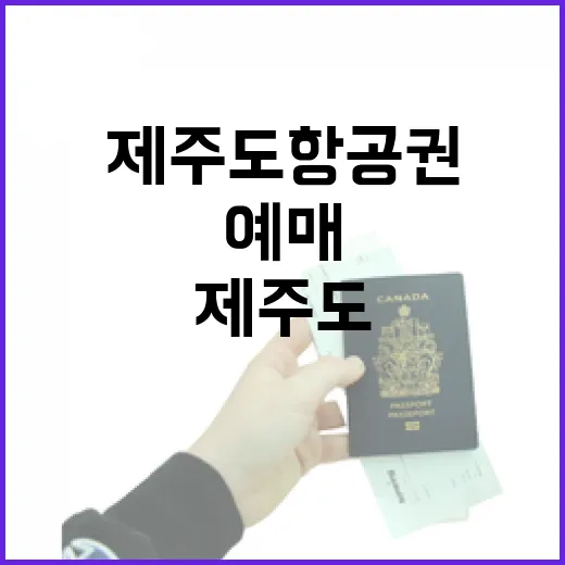 제주도항공권예매 직접 해봤더니, 조용한 동네 여행은 출발 시간부터 달랐다 - 요약