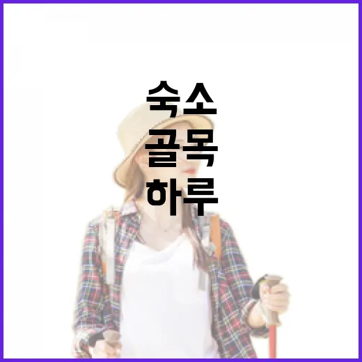 야놀자로 골목 숙소를 잡고 하루 살아봤더니 보인 동네의 표정 - 요약