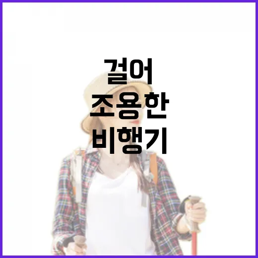 제주도비행기 타고 조용한 동네만 걸어봤더니 남은 장면들 - 요약