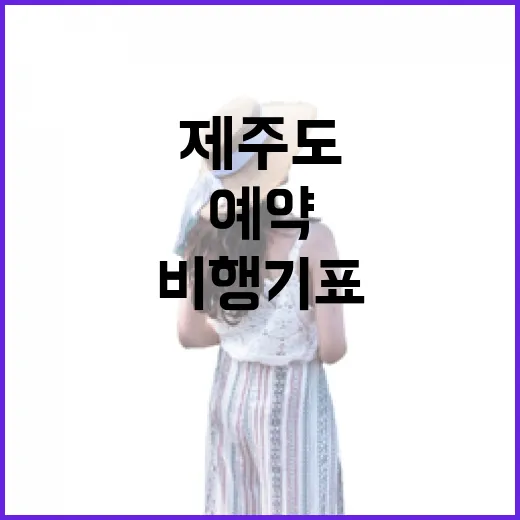 제주도비행기표예약을 서두르지 않고 해봤더니 보인 것들 - 요약