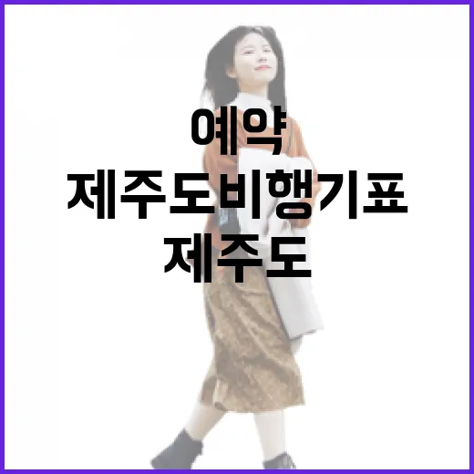 제주도비행기표예약 직접 해봤더니, 조용한 동네 여행은 출발 시간부터 달랐다 - 요약