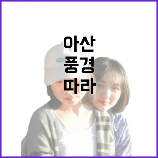 아산 그린시스 배를 따라 동네길로 들어가봤더니 보인 조용한 풍경 - 요약