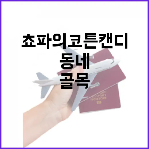 동네 골목에서 쵸파의 코튼캔디를 먹어봤더니 남은 건 단맛보다 분위기였다 - 요약