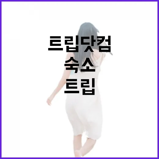 트립닷컴으로 일부러 한적한 동네 숙소를 골라봤더니 생긴 일 - 요약