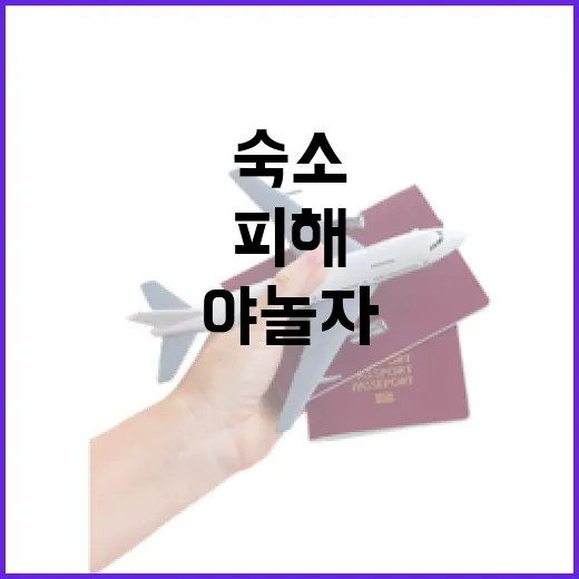 야놀자로 유명 관광지 피해 동네 숙소를 잡아봤더니 보였던 것들 - 요약