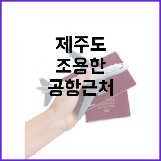 제주도비행기 타고 늦게 도착한 날, 공항 근처 조용한 동네를 걸어봤더니 - 요약