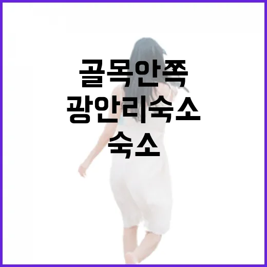 광안리숙소를 해변 바로 앞 대신 골목 안쪽으로 잡아봤더니 - 요약