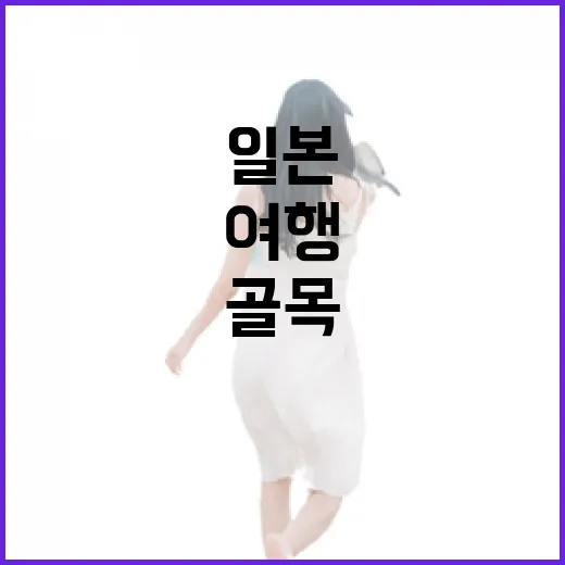 일본패키지여행을 조용한 골목 기준으로 다녀와봤더니 - 요약