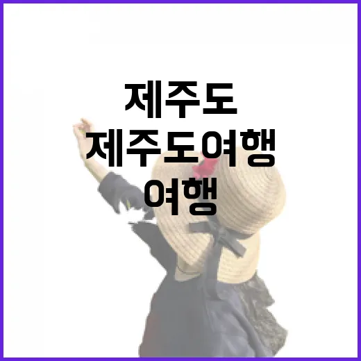 제주도여행, 유명한 곳을 비켜 걸었더니 보였던 조용한 동네들 - 요약