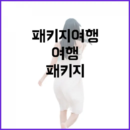 패키지여행으로 떠났다가 골목만 기다리게 된 이야기 - 요약