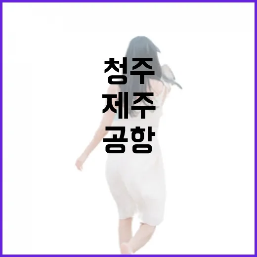 청주에서 제주로 바로 떠나봤더니, 공항부터 여행이 조용했다 - 요약
