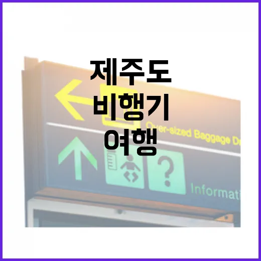 제주도비행기예약을 미리 해두고 골목 여행을 다녀와봤더니 - 요약