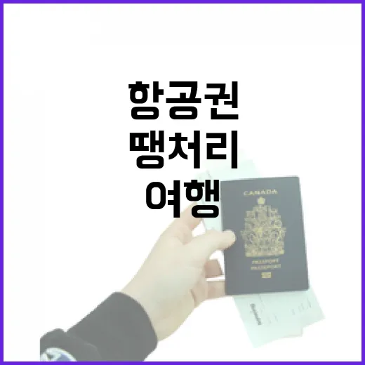땡처리항공권으로 조용한 동네 여행을 가봤더니 알게 된 것들 - 요약