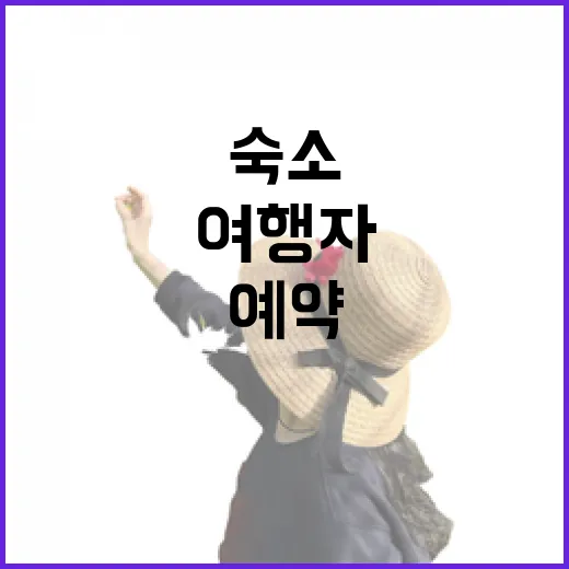 동네 골목 여행자가 숙소예약을 여러 번 망쳐보고 배운 진짜 기준 - 요약