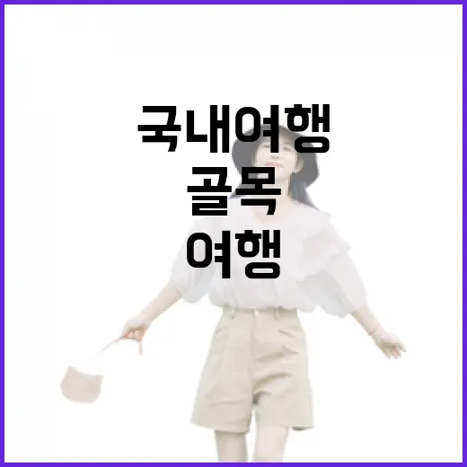 국내여행으로 일부러 골목만 걸어봤더니 보인 조용한 장면들 - 요약