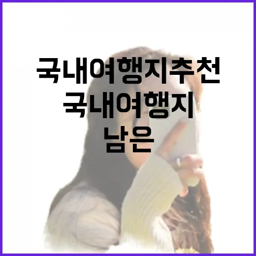 유명한 곳 대신 골목으로 걸어가 봤더니, 조용해서 더 오래 남은 국내여행지추천 이야기 - 요약