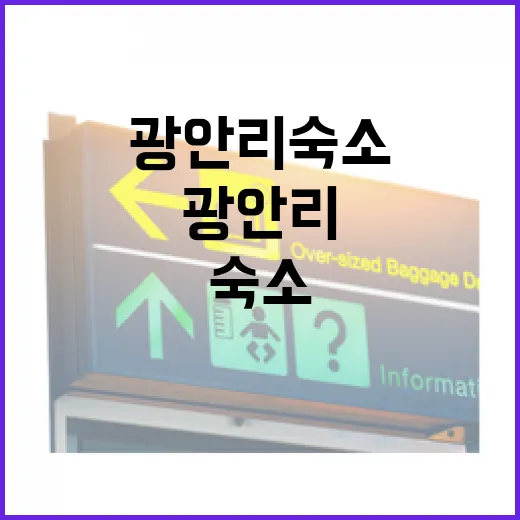 광안리숙소를 골목 안쪽으로 잡아봤더니 바다가 조금 다르게 보였다 - 요약