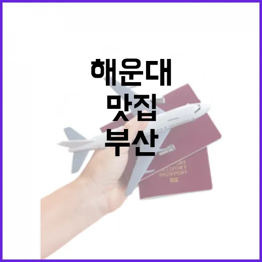 부산해운대맛집을 골목으로만 걸어봤더니 남은 것들 - 요약