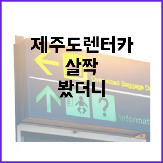 제주도렌터카로 유명한 길을 살짝 비껴가 봤더니 보인 것들 - 요약