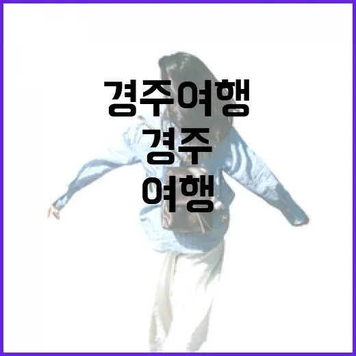 경주여행에서 황리단길 옆길로 새어 나가봤더니 남은 장면들 - 요약