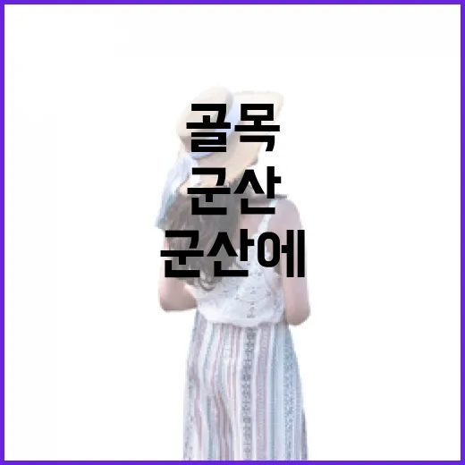 땡처리항공으로 군산에 내려가 골목만 걷고 온 진짜 이야기 - 요약