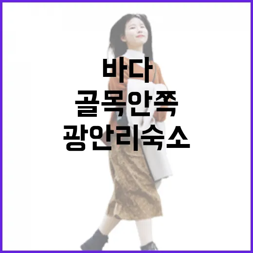 광안리 숙소를 바다 바로 앞 대신 골목 안쪽으로 잡아봤더니 - 요약