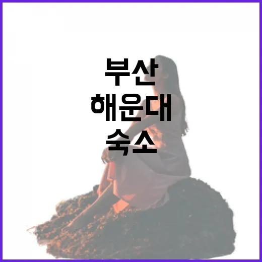 해운대 말고 골목 쪽 부산숙소에 묵어봤더니 보인 것들 - 요약