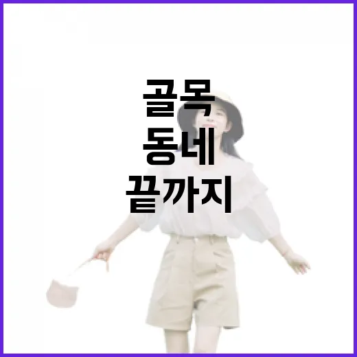 렌터카로 일부러 골목 끝까지 들어가 봤더니 보인 동네의 얼굴 - 요약